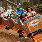 Dollywood Amusement park