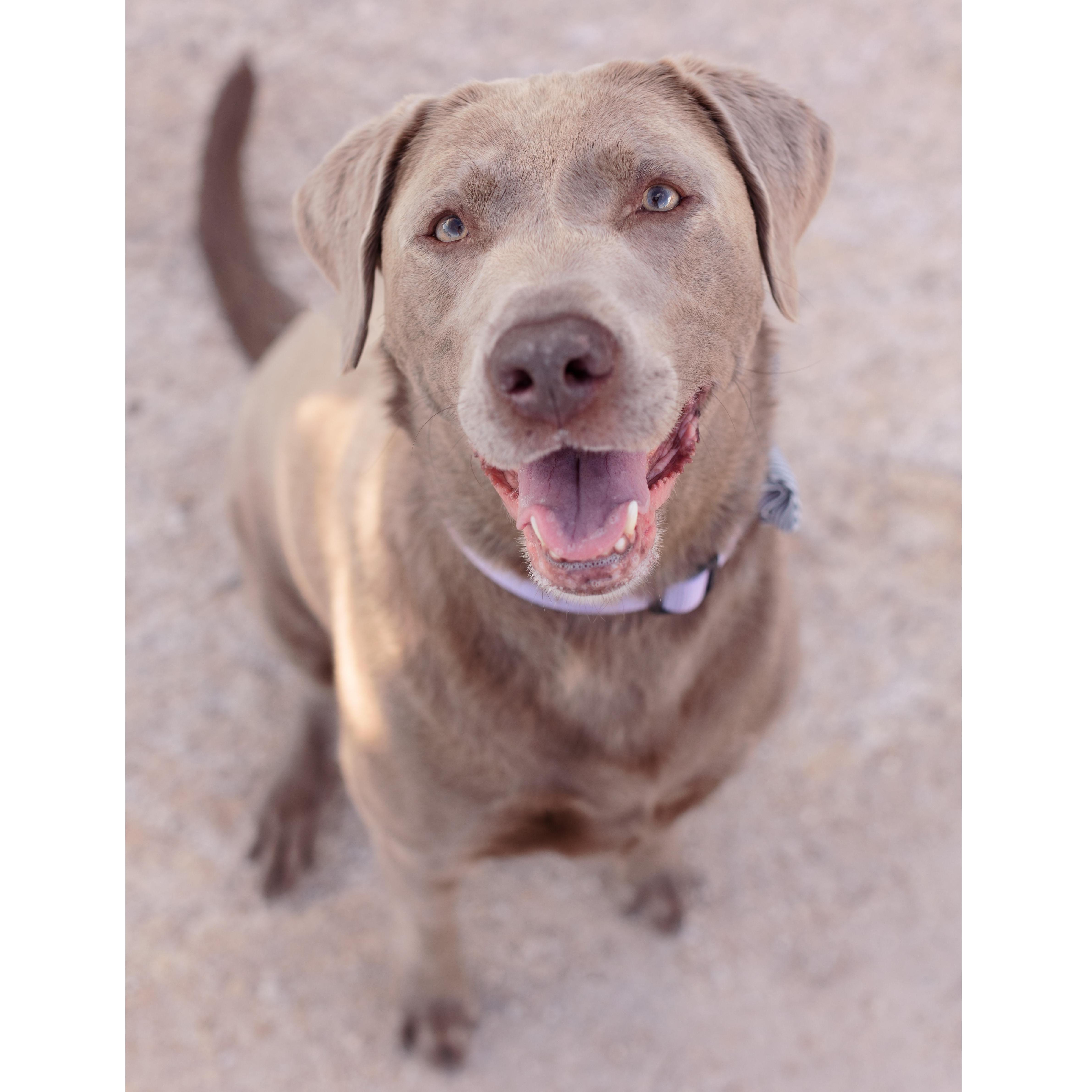Kiva!