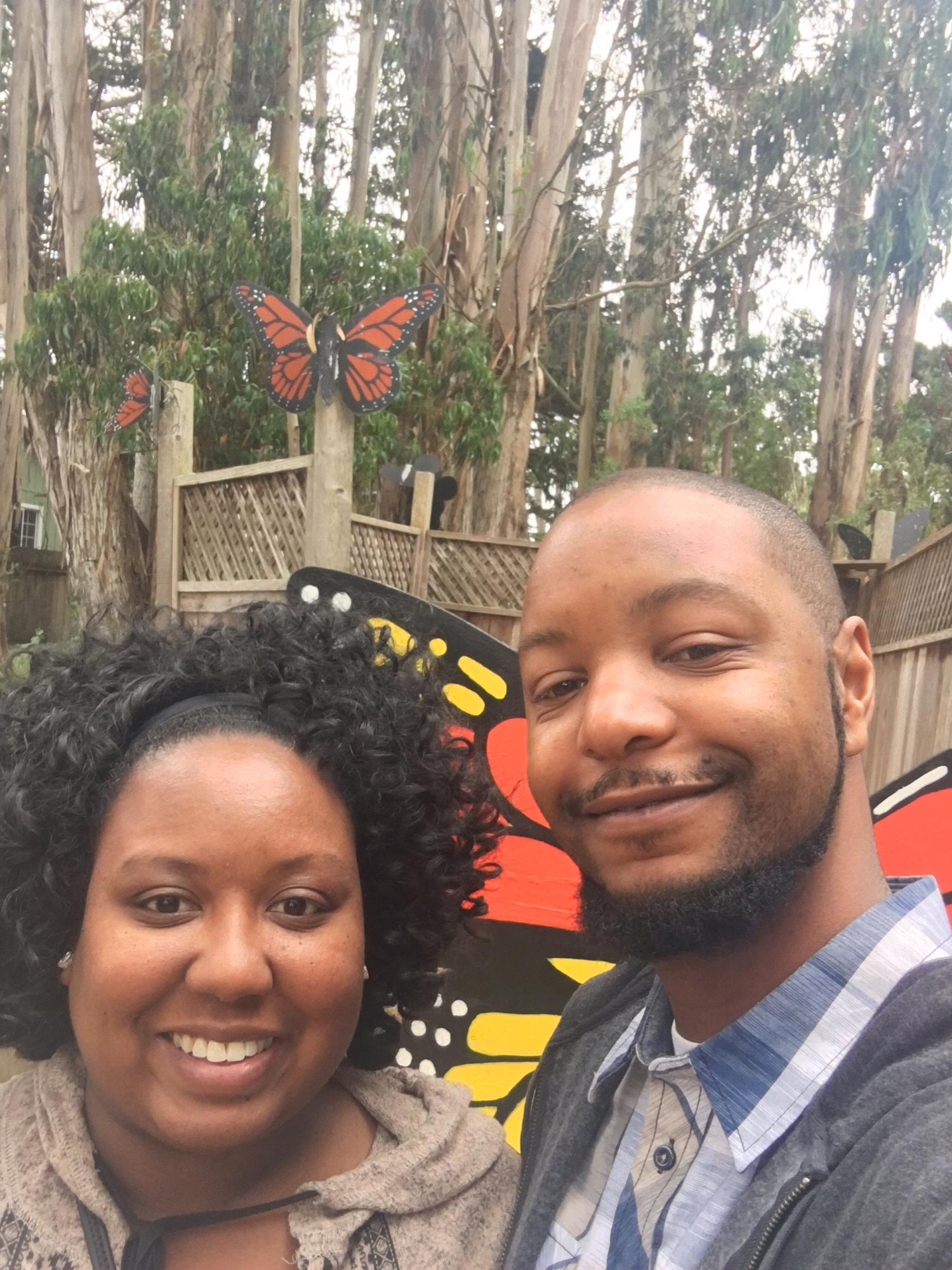 The Butterfly Sanctuary