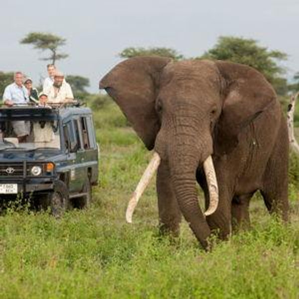 Our Africa Honeymoon Fund