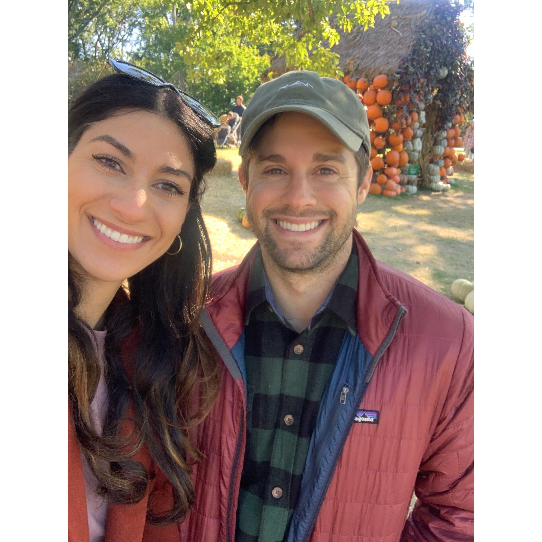 Seeing all the pumpkins during the fall at Cheekwood.
