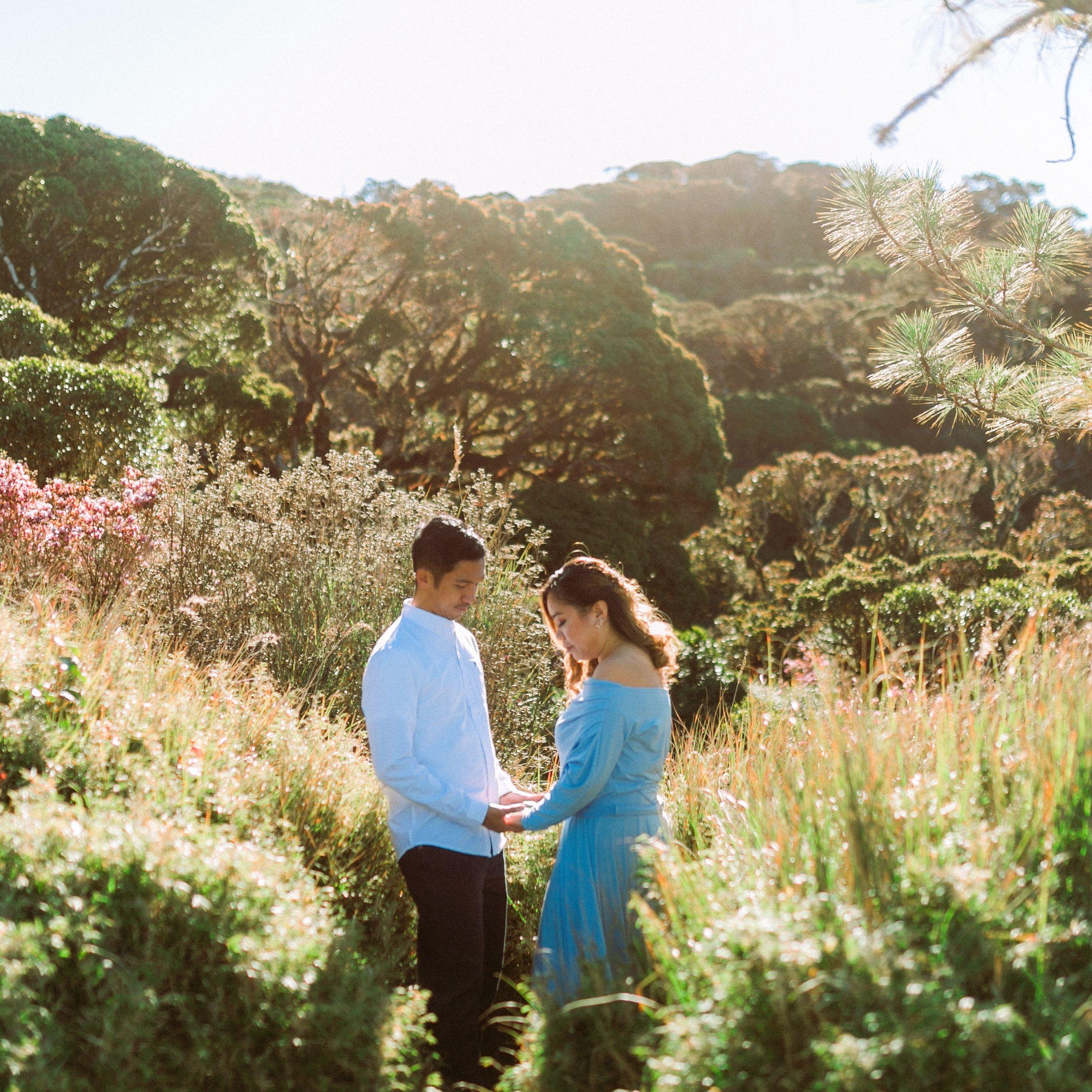 Hero Slideshow Image 0