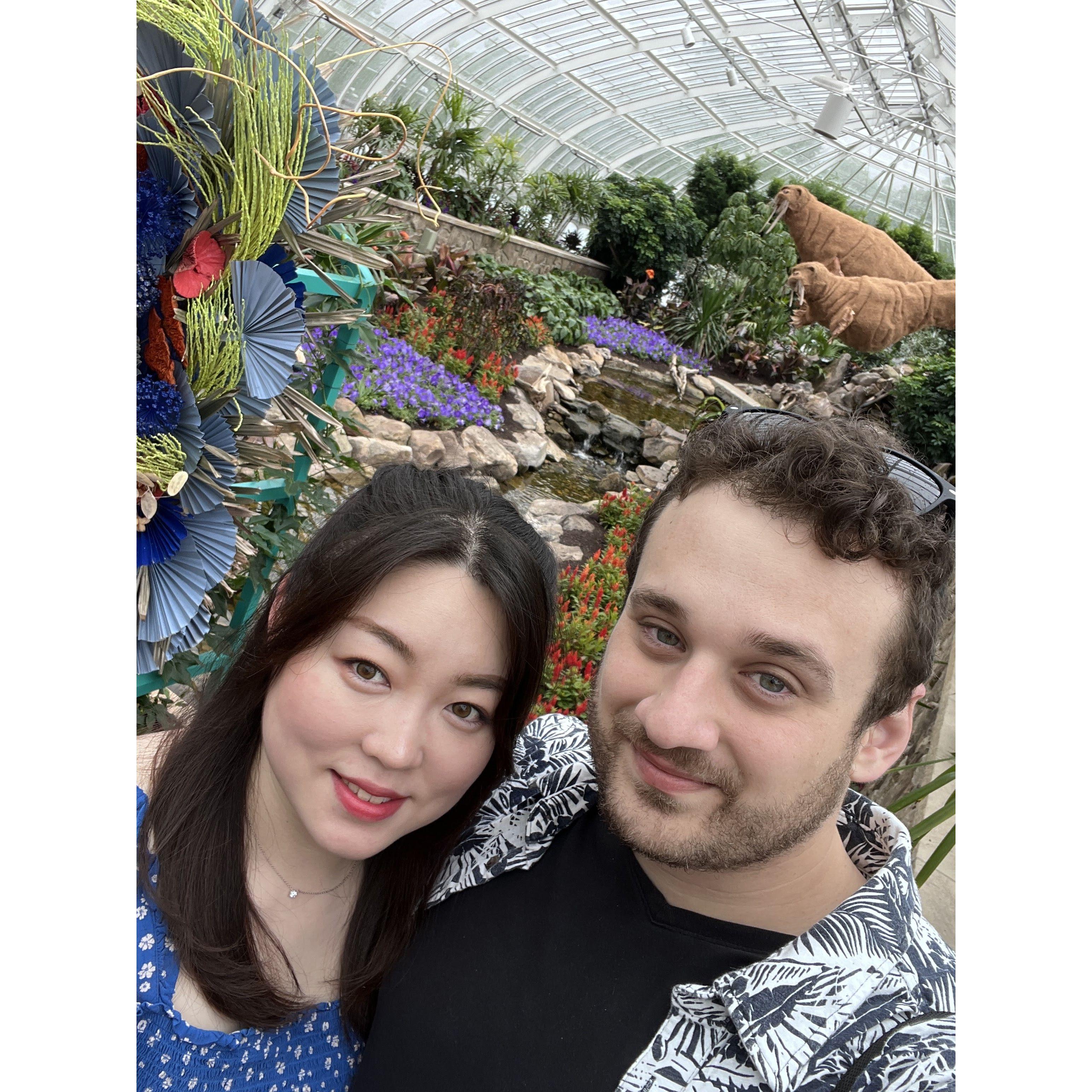 Vibrant summer flower show at Phipps Conservatory