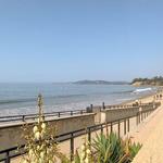 Butterfly Beach