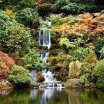 Portland Japanese Garden
