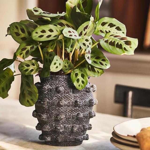 Minka Textured Pot M