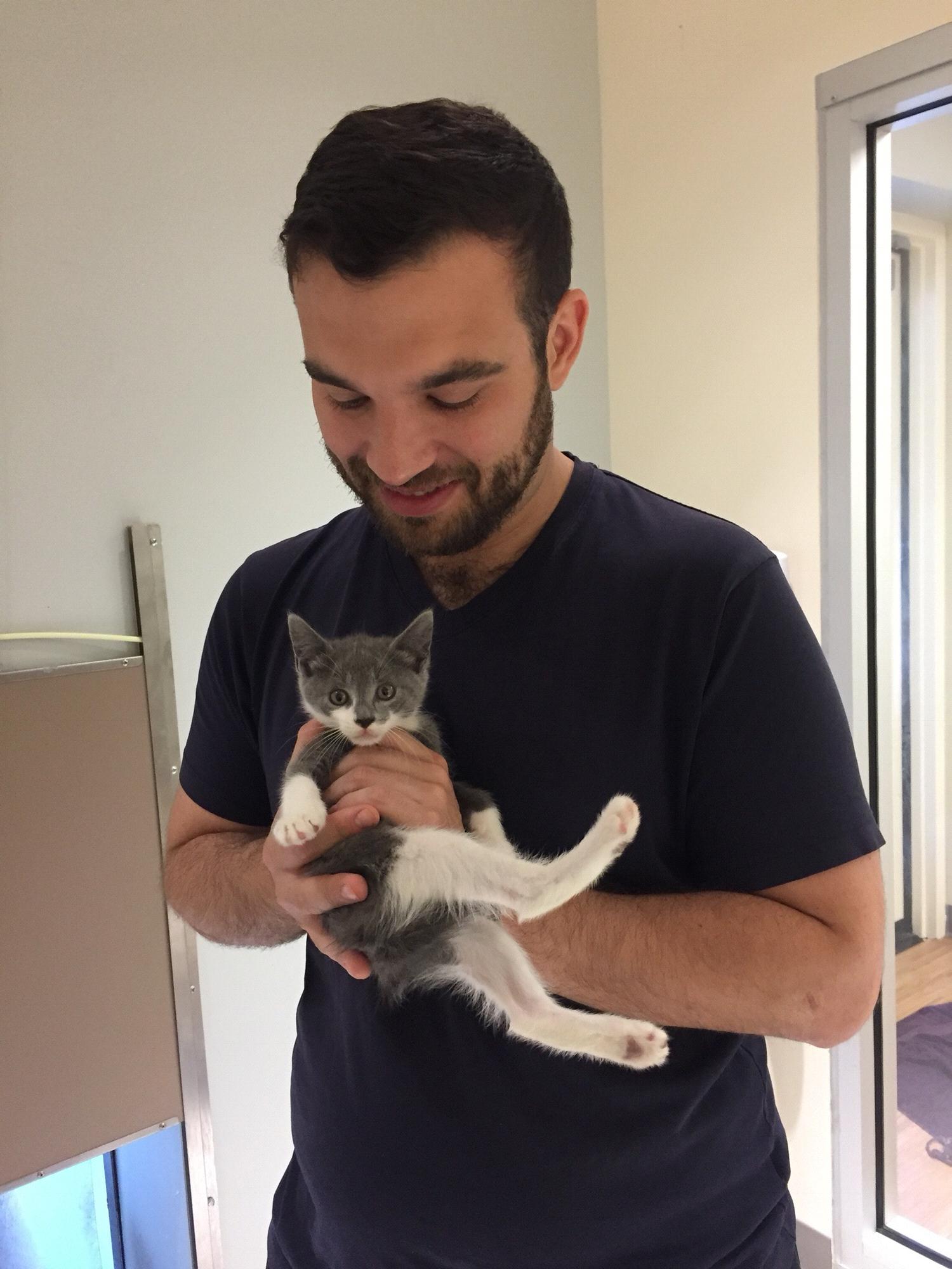 ...and cats