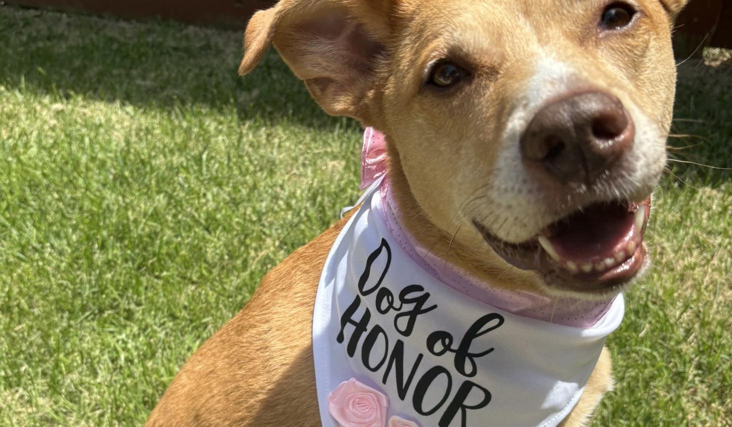 The Wedding Website of Mackenzie Staton and Madison Brown