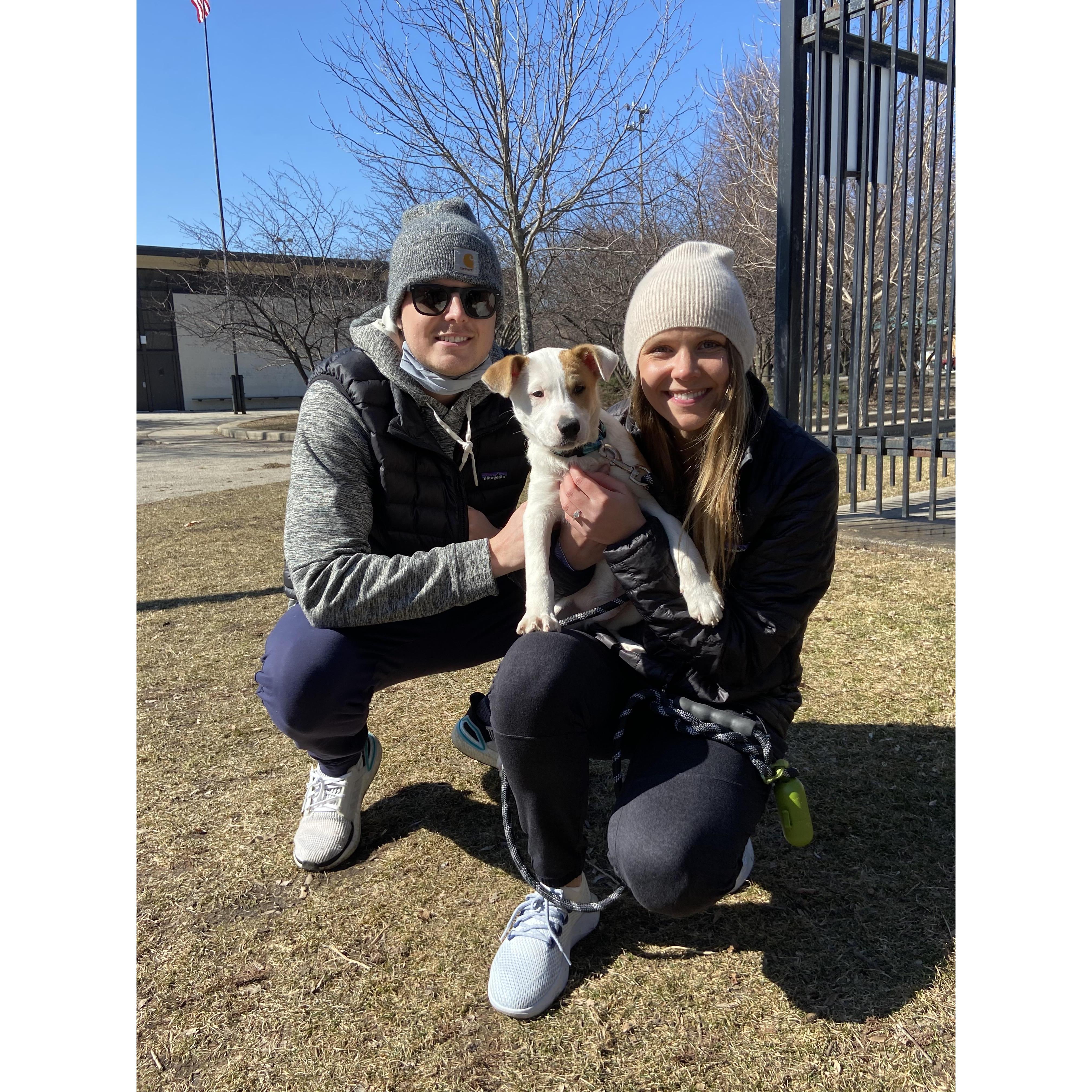 March 3, 2021 - we made an addition to our family, our little Ollie