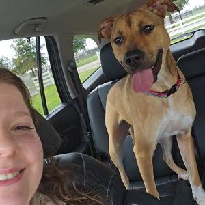 Companion Animal Alliance