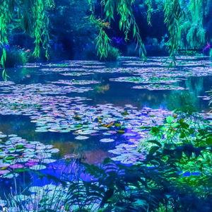 Visit to Monet's Garden