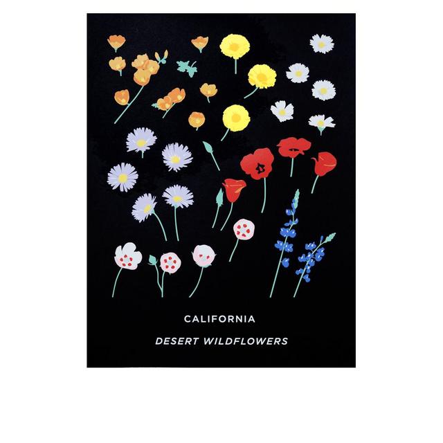 California Wildflowers Silk Screen Print