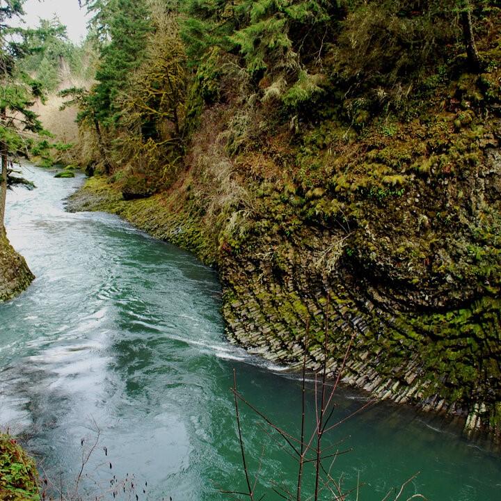 The beautiful Trout creek.
