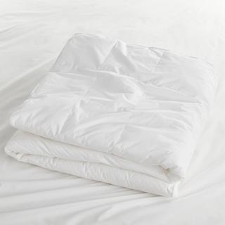 Hypoallergenic Heavyweight Duvet Insert