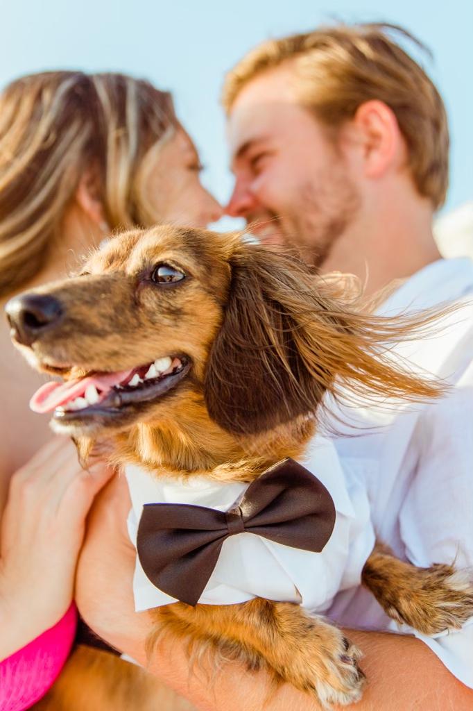 The Wedding Website of Gabrielle McGee and Michael Brodnax, Jr.