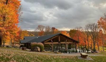 The Wedding Website of Mercedes Donavan and Taylor Whitehead