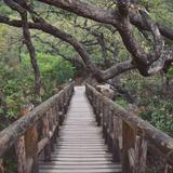 Parque Chipinque