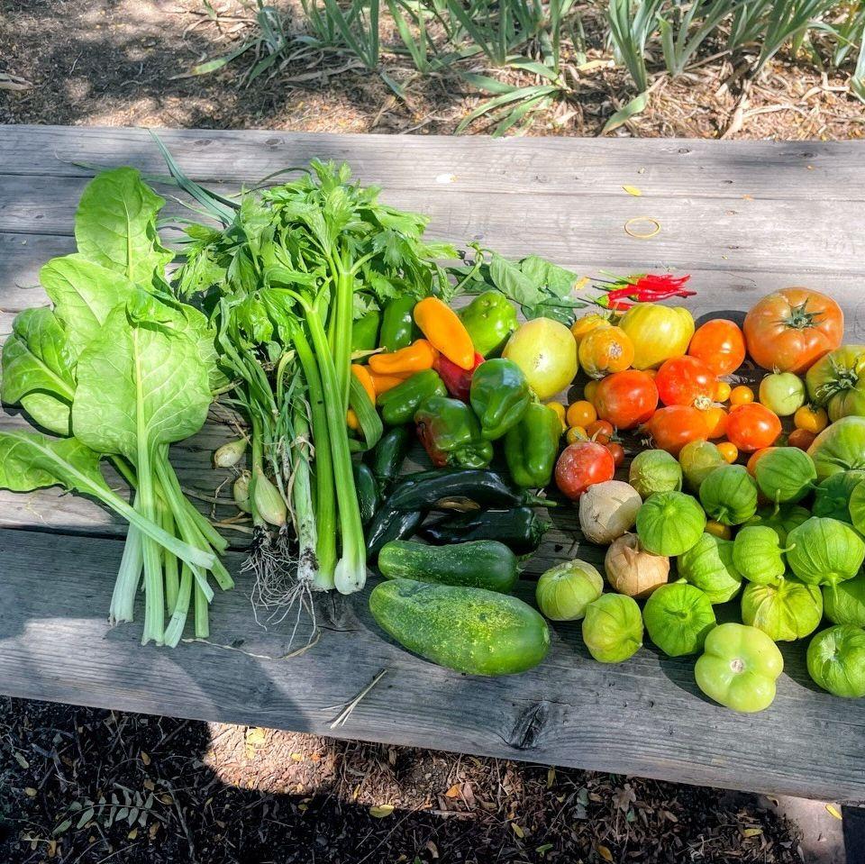 Harvest - Baker Community Garden