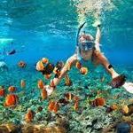 Snorkeling and Scuba Diving