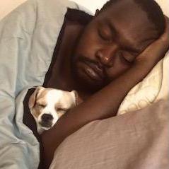 Eliana's dog, Shimi, and Robertson fell in love before Eliana and Robertson did!
