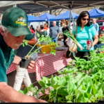 Davidson Farmer's Market