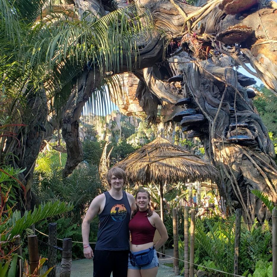Pandora (Avatar Land) at Disney Animal Kingdom