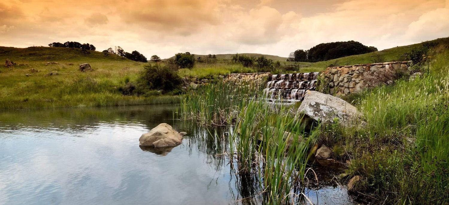 The Wedding Website of Dory Hanekom and Dean De Agrela