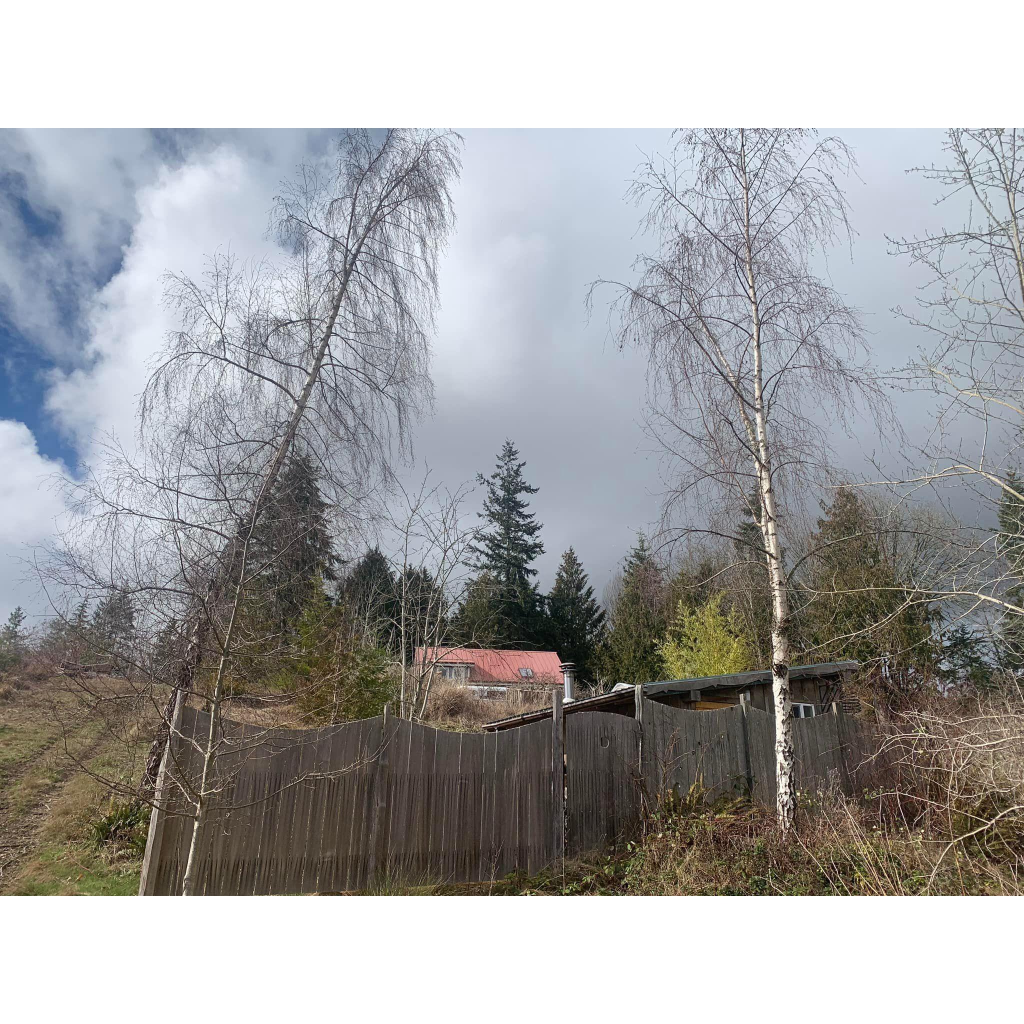 Home is Where the Heart is