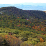 Stony Man Hiking Trail