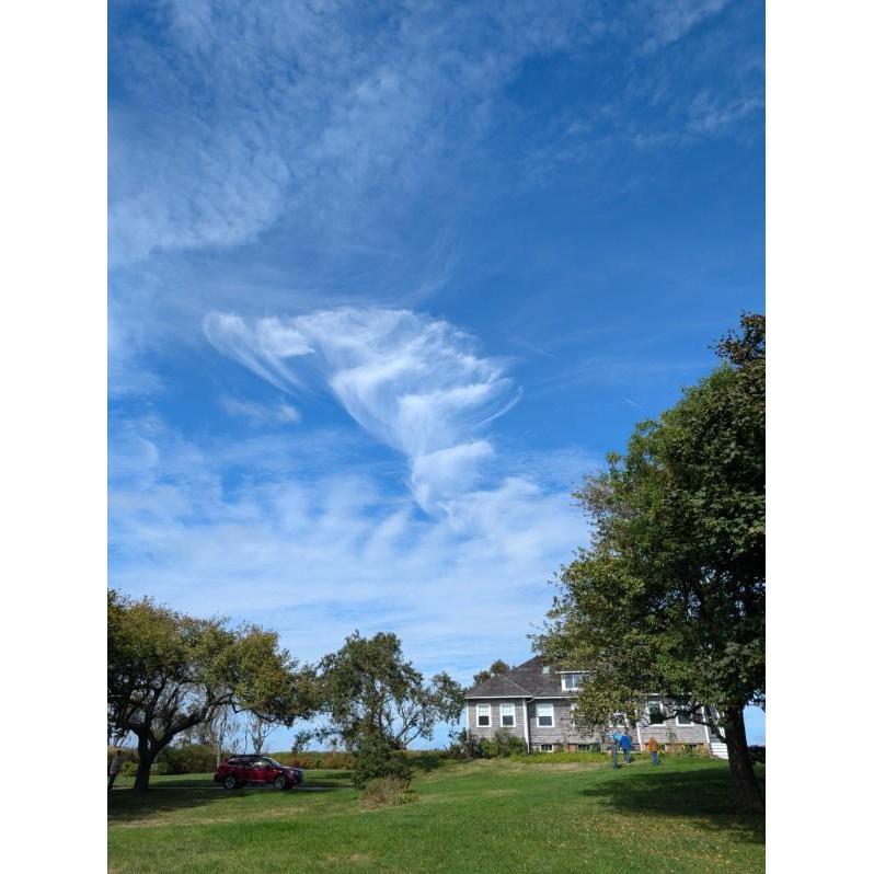 Yard at The Point House, 2024 (Chatham, MA)