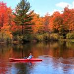 Mansfield Hollow State Park