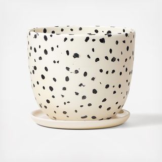 Speckled Planter with Saucer