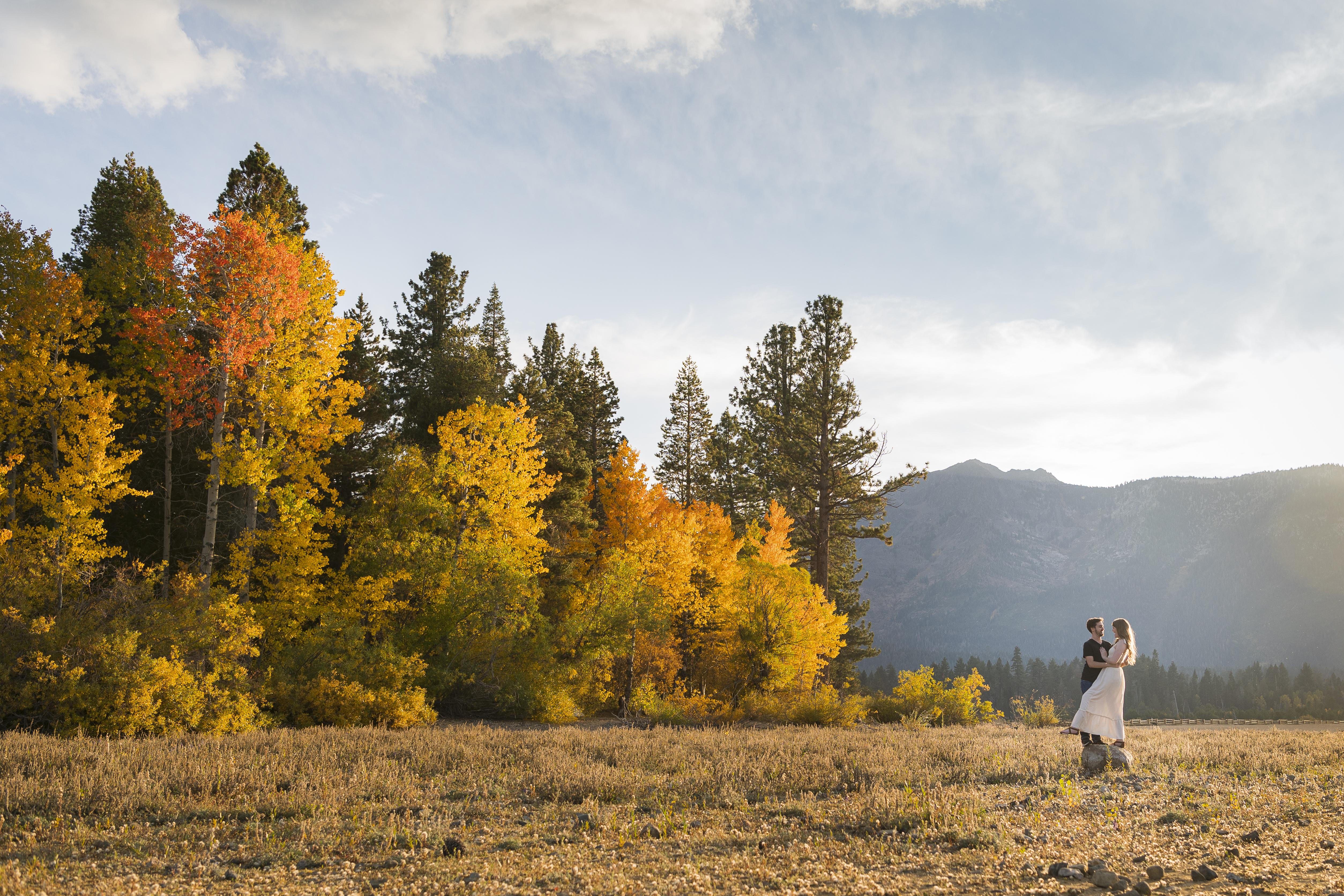 The Wedding Website of Terra Williams and William Garner