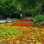 The Dallas Arboretum and Botanical Garden