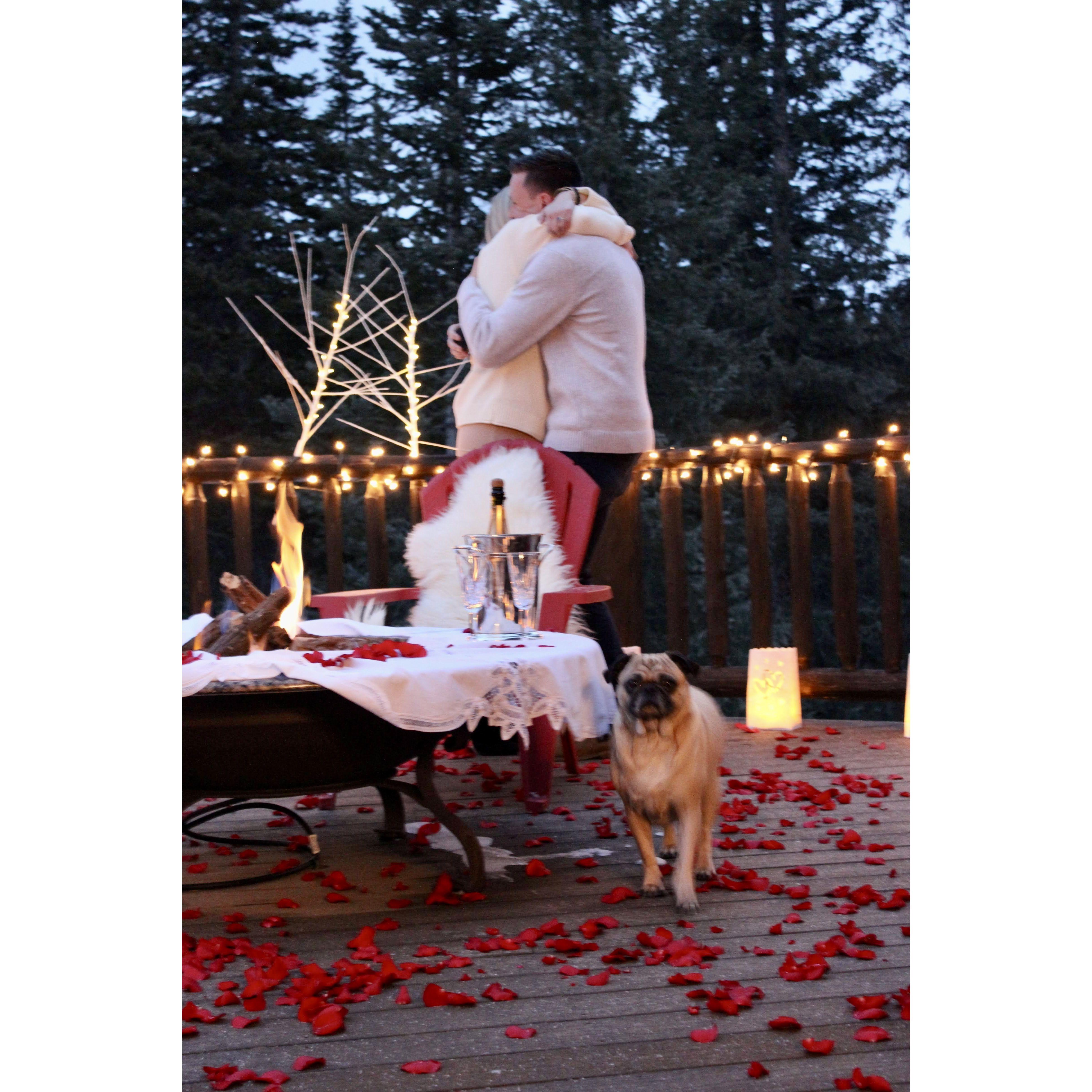 Of course Bean was front and center at our engagement