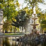 Tower Grove Park