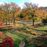 Tower Grove Park