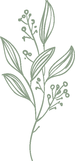 The Wedding Website of Lodene de Wit and Johan Fourie