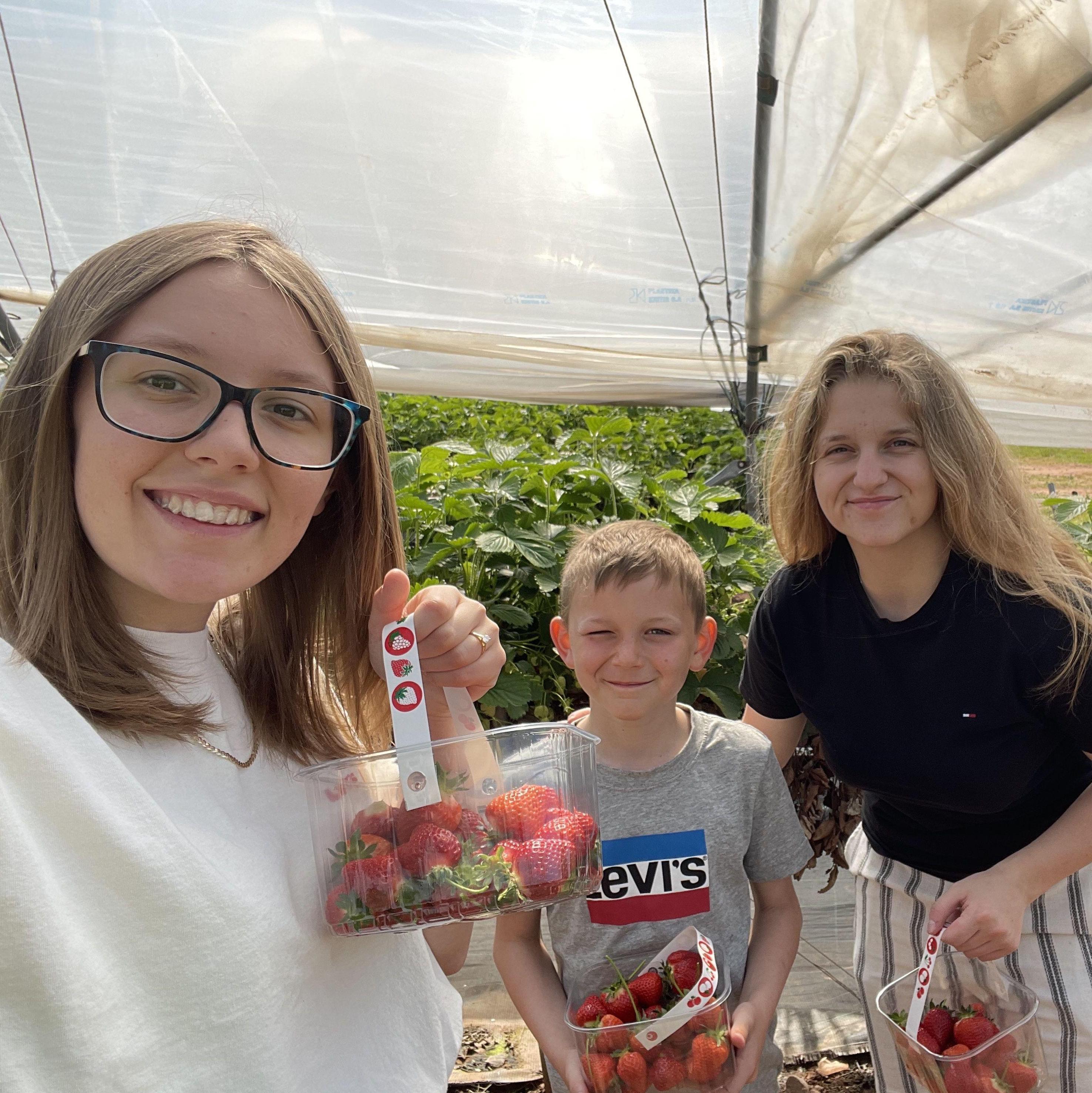 Strawberry picking with Lawson