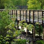 Great Swamp National Wildlife Refuge