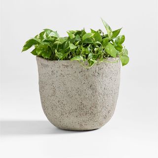 Cavo Textured Indoor/Outdoor Planter