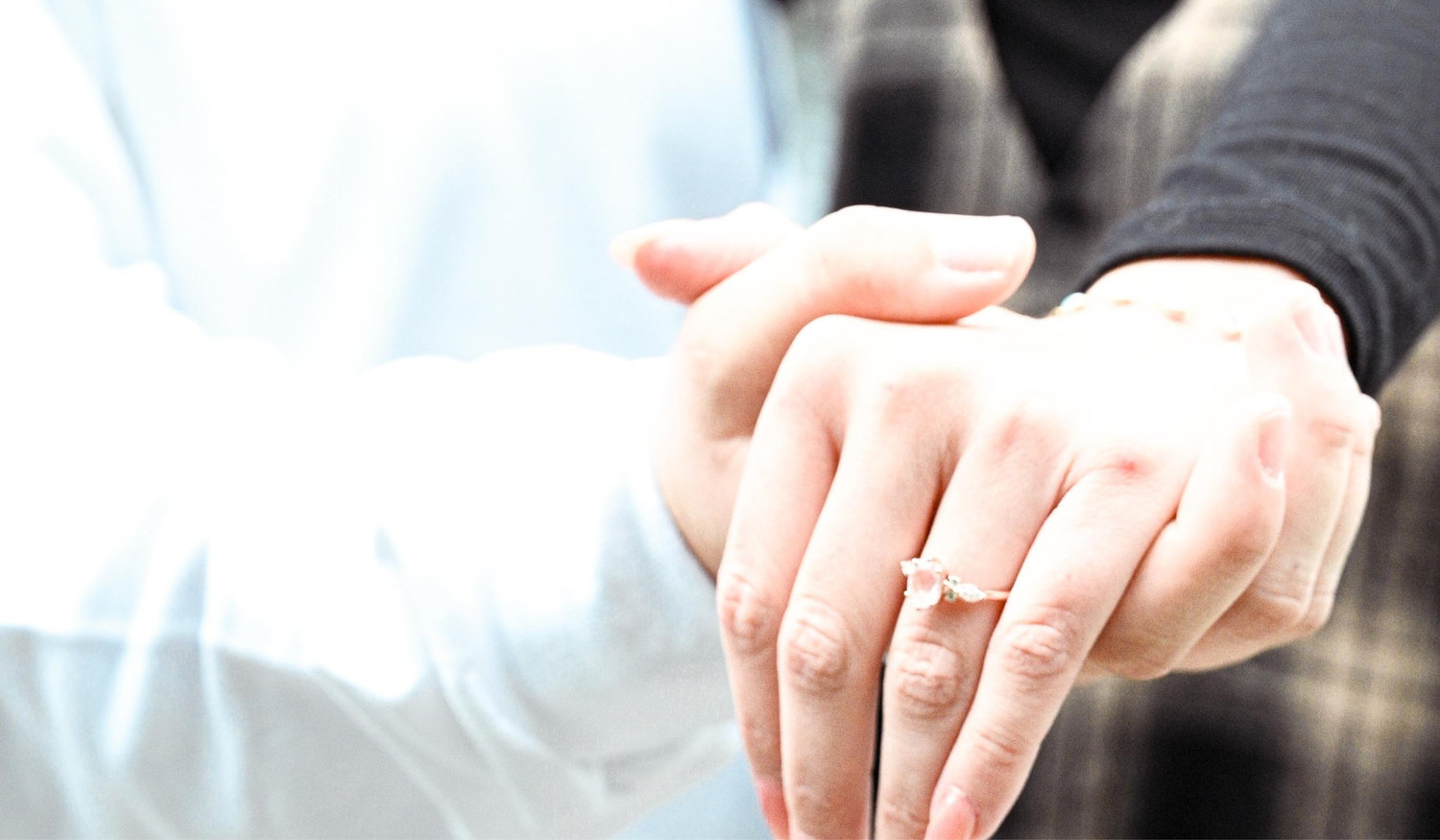 The Wedding Website of Elizabeth Callender and Abby Mott
