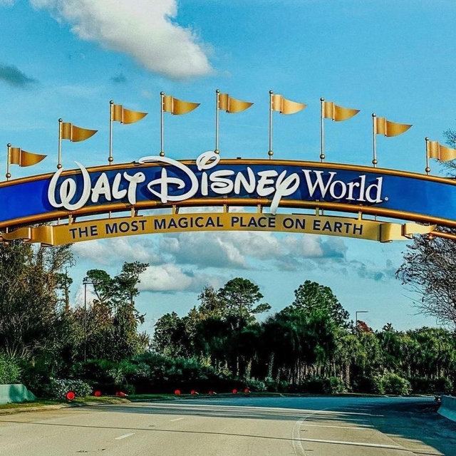 Honeymoon Plane Tickets to Disney World x2