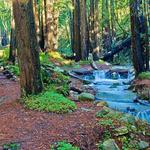 Limekiln State Park
