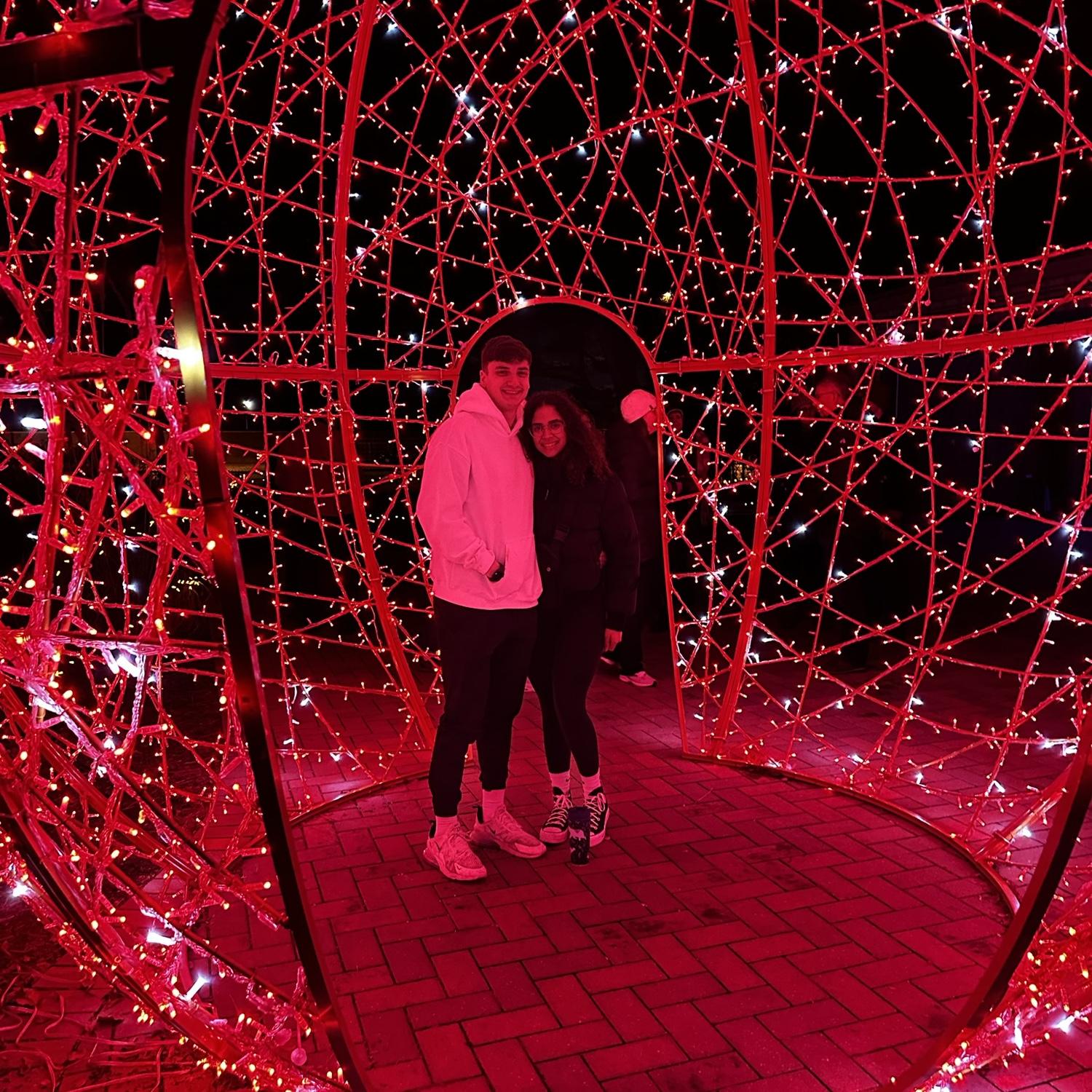 Detroit zoo lights