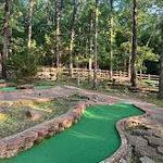Gator Golf Miniature Golf Course