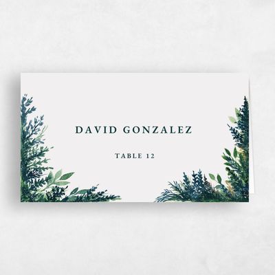 Grey Winter Wedding Place Card - Oxley