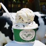 Kimball Farm Jaffrey