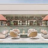 Little Palm