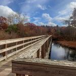 The Nature Trail and Cranberry Bog